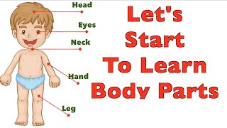 Let's start to Learn The Human Body Parts | Physical Education | Body Parts in English | Ra Media