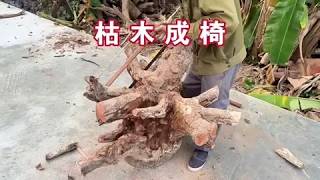 木っ端チェアー N-tree作 Old Tree Root Transformed into a Creative Chair by Craftsman: A