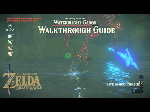 Video: Zelda: Breath Of The Wild - Waterblight Ganon Sjef Kampstrategi Og Hvordan Få Mipha S Nåde