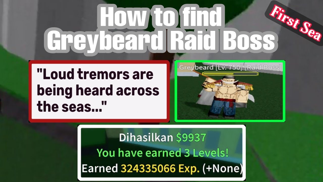 Grey/White Beard Boss, Blox Piece Wiki