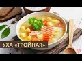 Уха "тройная"