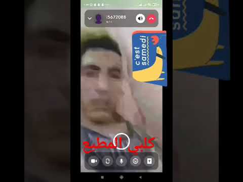 كلبي مطيع نباح