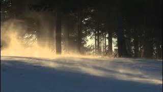 Polar Winds White Noise 1 hr