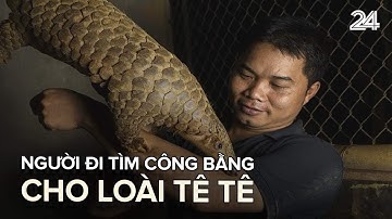 Người đi tìm công bằng cho loài tê tê | VTV24