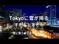 「Tokyoに雪が降る」すぎもとまさと&rdquo;雪に舞う想い出とともに気持ちを込めしっとりと歌唱します"Coverちゆき#すぎもとまさと#Tokyoに雪が降る#昭和歌謡#nikoshiba#チェウニ#ちゆき