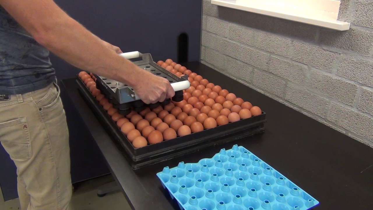 Nuovo Egg Stamper - Easy Stamp EMS30 Eco for Hatch Trays