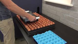 Nuovo Egg Stamper - Easy Stamp EMS30 Eco for Hatch Trays