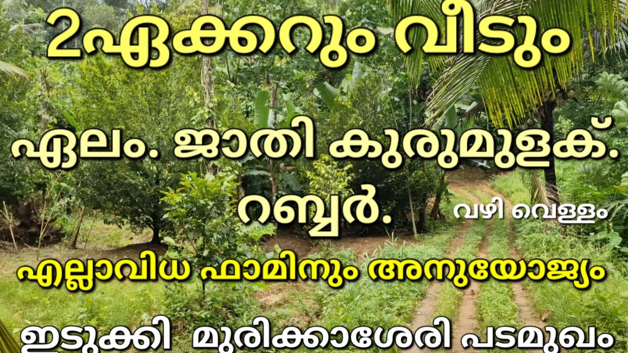 2ഏക്കറും വീടും. ഫാമിനും കൃഷികൾക്കും അനുയോജ്യമായ സ്ഥലം.. ഏലം ജാതി കുരുമുളക് റബ്ബർ. ഇടുക്കി പടമുഖം 👇