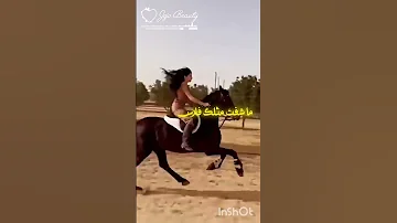 حلال عليك الشيخة بس انت تصون 