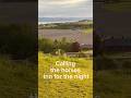 The beauty of Nordic summer nights and fjord horses #equestrianjourney #horse #shorts