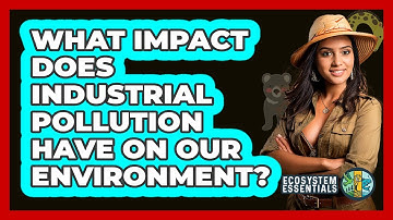 What Impact Does Industrial Pollution Have On Our Environment? - Ecosystem Essentials