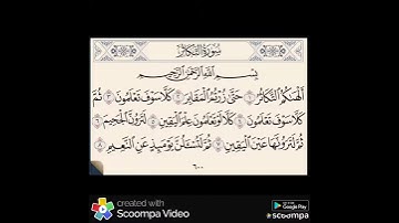 سورة التكاثر بصوت الشيخ ابو بكر الشاطري صوت جميل