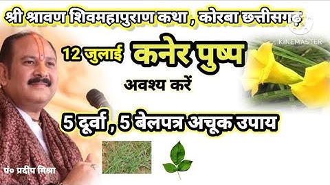 12जुलाई सावन सोमवार का कनेर पुष्प का अचूक उपाय, 5 दूर्वा बेलपत्र का उपाय || pandit pradeep mishra ji