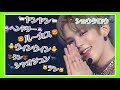 【NCT】愛おしさ1125%の🦦を可愛がる🐻🐱🐥🦁🦕🦄🐏 WayV編