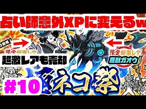 極ネコ祭 久しぶりに ねこ占い師 以外はxpする企画 にゃんこ大戦争 10 Youtube