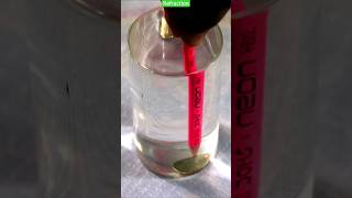 How Can Glass Show Two Here #shorts #science #experiment #water