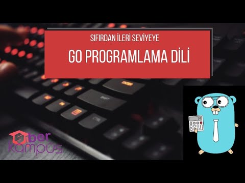 Go (Golang)Programlama Dili Öğren | String Formatting