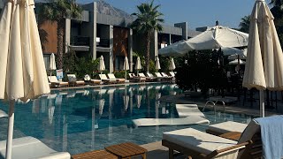 :   FOREST IN HOTEL 3* / , /    