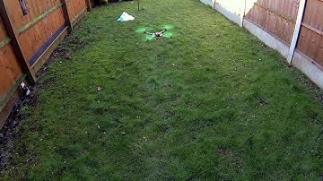 Carbon Warthox frame