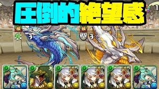 殺意に満ちたチャレダン10初見プレイ！おでドラに救われる…！？【パズドラ】