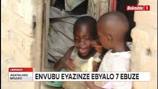 Envubu eyongedde okusattiza abatuuze bw’edduse mu luzzi mw’ebadde ewugira.