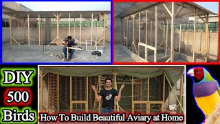 Unique Idea How To Build Beautiful Aviary For Birds at Home | DIY | How To Make Zebra Finch Aviary