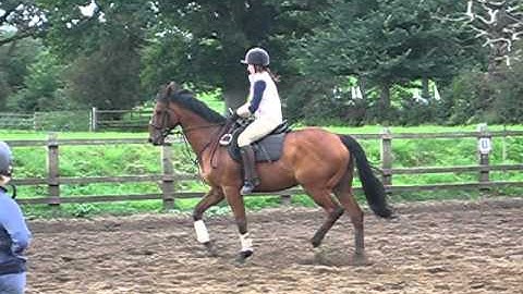 leg yield in trot into canter 15m circle - otto & ellie