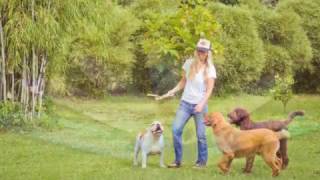 Heather Brown Biography Video for American Airlines Flights arriving to Hawai'i Information