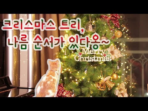 크리스마스트리 만들기 (feat.Cat) Christmas tree | Merry Christmas