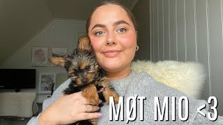 UPDATE! đ¶đProject Pan & Pan those eyeshadows update 3!
Endelig en ny video! Jeg hÄper dere likte denne videoen! Gjerne gi meg litt feedback i kommentarfeltet, det er alltid hyggelig :)
// Annonse: Denne videoen inneholder sponset produkter, men er ikke betalt produktplassering
ABONNER PĂ
KANALEN MIN »https://www.youtube.com/user/sanneskar1 for nye videoer!
MINE ANDRE SOSIALE MEDIER
INSTAGRAM ⣠BRUKERNAVN SANNESKAR_
FACEBOOK ⣠https://www.facebook.com/sanneskar1/?fref=ts
Disclaimer ⣠Denne videoen er IKKE sponset.
Tusen takk for at du sĂ„ pĂ„. I love you! UPDATE! đ¶đProject Pan & Pan those eyeshadows update 3!