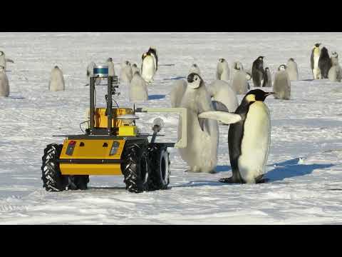 Husky UGV Monitors Penguin Populations in Antarctica