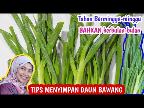 Tips Cara Menyimpan Daun Bawang Tahan Berbulan-bulan Tetap Segar Serta Kekurangannya