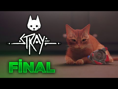 MİNNOŞA VEDA! (HÜZÜNLÜ SON) - Stray (FİNAL)