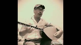 Rıza Doğanses. Yeşil Ördek Gibi Daldım Göllere