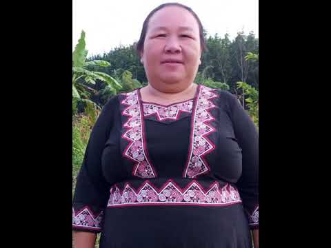 Video: Kneecap Tsiv Teb Tsaws Chaw Nyob Hauv Dev - Patellar Khoom Noj Khoom Haus Hauv Cov Tsiaj