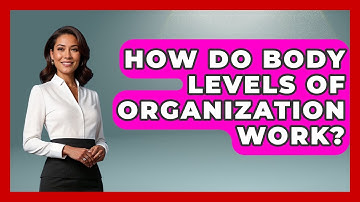 How Do Body Levels Of Organization Work? - All About Anatomy Answers
