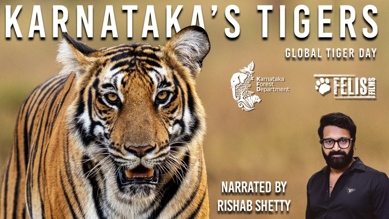 Karnatakas Tigers   Rishab Shetty  World Tiger Day 2023