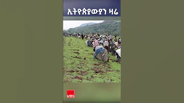 ኢትዮጵያውያን ዛሬ ዛሬ በመላው ኢትዮጵያ 700 ሚሊዮን ችግኞች እየተተከሉ ነው GreenLegacy 700MillionTrees 