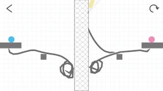 Brain Dots 224 level
