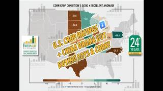 U S Crop Ratings Fall Drama with China but Still Buying U S Soybeans Corn