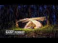 Solo Camping di Hutan Pinus saat Hujan, Perlengkapan Camping Ultralight, Berkabut, Memasak, ASMR