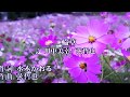 川中美幸/弦哲也 「二輪草」 1998 ~cover