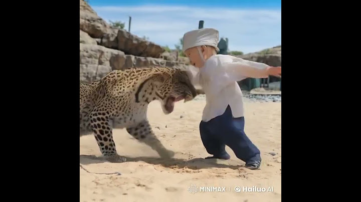 quick fight between a Chinese boy and a leopard #shorts #trending #funny #animals #leopard #boy #fyp