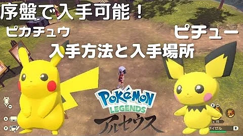 ピチュー