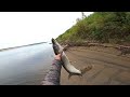 Рыбалка!Хищники на Енисее.Часть первая.Fishing! Predators on the Yenisei. Part one.