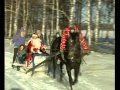 Дон-Эко-Тур: конный туризм зимой