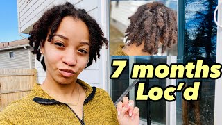 My 7 Month Loc Update | Products I Use On My DRY Locs