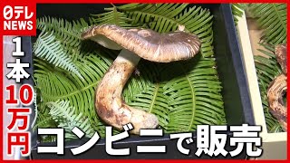 “高級”春マツタケが初競り…“１本１０万円” コンビニ店頭で売られる　熊本・天草（2021年4月7日放送「news every.」より）