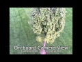Dromida Kodo Box Opening Review & Test Flight