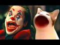 Pop Cat keeps annoying Joker